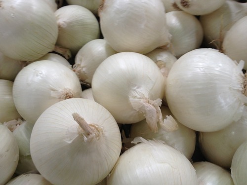 White Onion Flakes/Kibbled